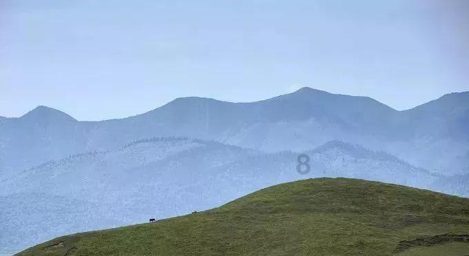 为什么明星更容易患抑郁症 – 知识星球平台,探索新知识的聚集地
